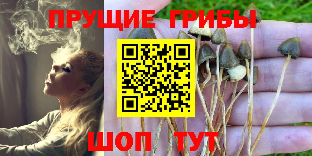 Галлюциногенные грибы GOLDEN TEACHER Тайшет