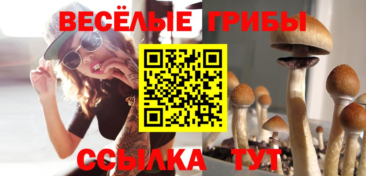 Псилоцибиновые грибы ЛСД  Вход с VPN  Тайшет  Галлюциногенные грибы мицелий 